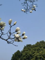 -玄武湖景区-情侣园游乐场