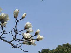 -玄武湖景区-情侣园游乐场