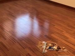 -圣象地板(百安居马连道店)