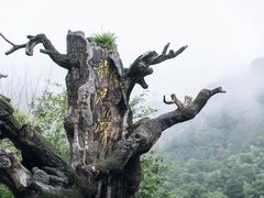 -龙湾潭国家森林公园