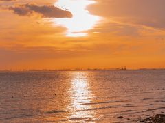 -宝安西湾红树林湿地公园