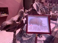 -陕西自然博物馆