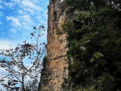 -塔云山