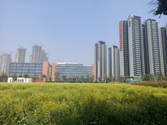 -光明小镇欢乐田园