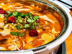 肥肠鱼-龙梅肥肠鱼(明瓦廊店)