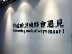 -神奇动物撸宠馆·羊驼·小浣熊·异宠(豫园店)