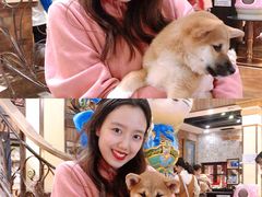 -more than meow吴止猫主题餐厅(承德 中船汇店)