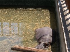 -青藏高原野生动物园