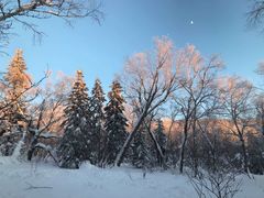 -雪谷