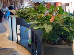 -粤菜王府·海鲜·茶市·海景餐厅(大梅沙店)