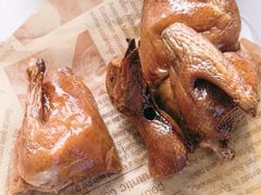 -鸽小宝(深圳首店)