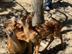 -水上乐园·欢乐世界