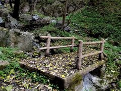 -牛背梁国家森林公园