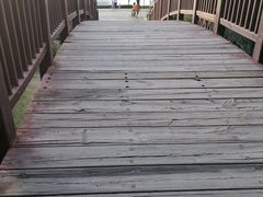 -五缘湾湿地公园