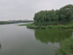 -大兴滨河森林公园