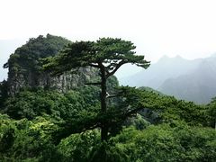 -圣莲山风景区