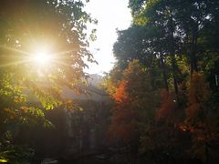 -广州市帽峰山景区