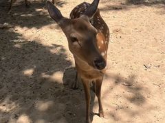 -南戴河国际娱乐中心