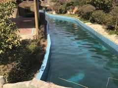 -金孔雀温泉旅游度假村