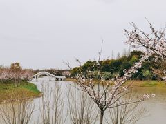 -上海海湾国家森林公园
