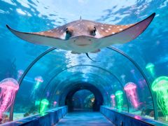 -多彩贵州城极地海洋世界