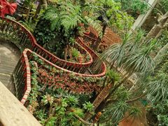 -正佳雨林生态植物园