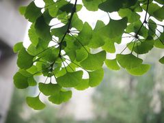 -陕西师范大学(雁塔校区)