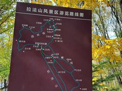 -吉林拉法山