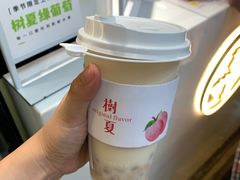 -树夏(锦里店)