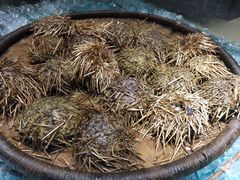 -港畔赶海蒸汽海鲜烧烤自助(仙螺岛店)