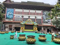 -西双版纳原始森林公园