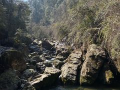-龙苍沟森林公园
