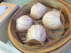 -春满园·早茶·粤菜·宴会(前海店)