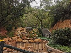 -梧桐山风景名胜区