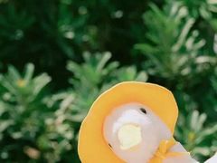 -嗨翻Hi-Fun竞技主题乐园·蹦床亲子生日轰趴(国光1937店)