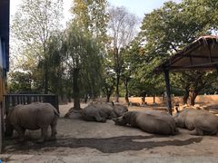 -西安秦岭野生动物园