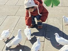 -天津妈祖文化园