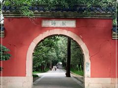 -灵谷景区