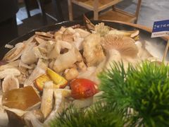-一朵菌·野生菌探索家火锅(南亚店)