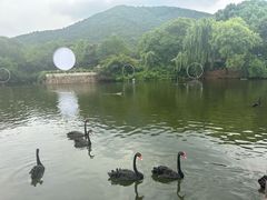 -无锡动物园·太湖欢乐园