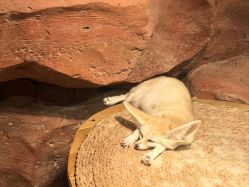 -Zoolung Zoolung动物主题公园(海信广场店)