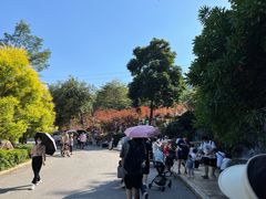 -广州市帽峰山景区