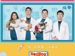 -爱侣宠医·鹦鹉专科·小型哺乳类·异宠专科(灵石路店)