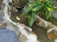 -伴山茶苑·一盏冰茶·半日山居