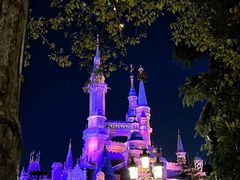 -上海迪士尼度假区