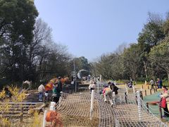 -杭州少年儿童公园