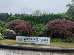 -嘉定紫藤园