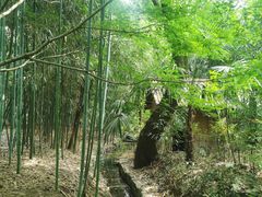 -兰亭风景区