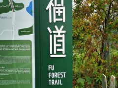 -福道