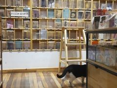 -猫的天空之城概念书店(杭州南宋御街店)